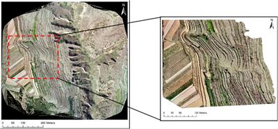 Capturing the Scale Dependency of Erosion-Induced Variation in CO2 Emissions on Terraced Slopes